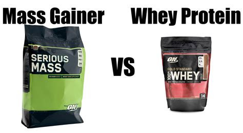 Mass Gainer VS Whey Protein: What's The Difference? - Whey Flavor