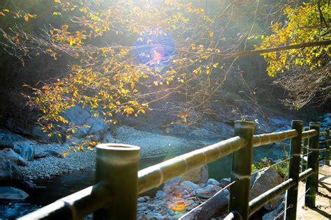 安徽青云峡旅游发展有限公司_4A级旅游景区