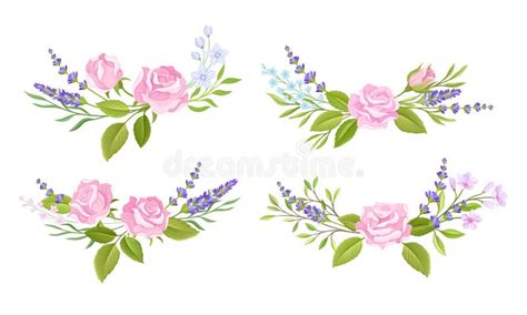 Floral Arrangement with Rose Flower and Lavender Twigs for Border or ...