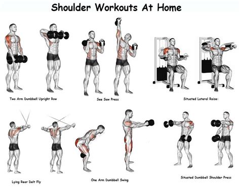 List of Best Known And Professional Recommended Shoulder Workouts For Mass - AnytimeStr ...