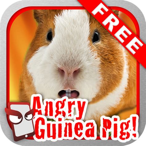 AngryGuineaPig Free - The Angry Guinea Pig Simulator: Amazon.co.uk ...