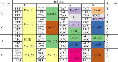 Codon tables with the amino acids encoded according to different... | Download Scientific Diagram