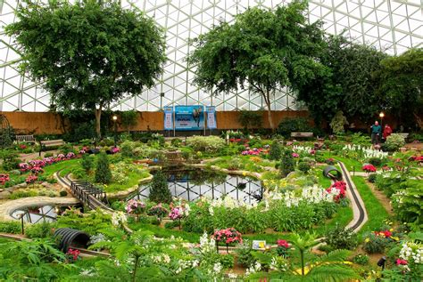 Garden | Inside the 1st of 3 domes at Mitchell Park Domes in… | Flickr