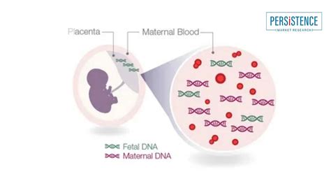 Cell-free Fetal DNA Testing Market: Leading Manufacturers Driving Advancements in Non-Invasive ...