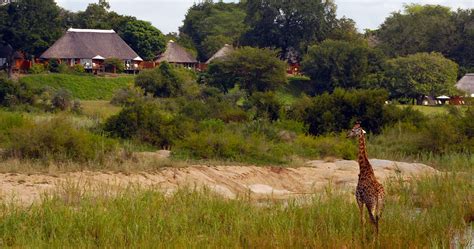 Mala Mala Main Camp in Sabi Sands Game Reserve - Kruger National Park South Africa luxury safari