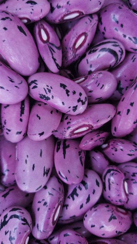 purple beans with black spots on them