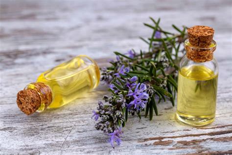 8 Best Essential Oils for Hair Growth (and Scalp Health) - hair buddha