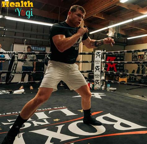 Canelo Alvarez Workout Routine And Diet Plan - Health Yogi