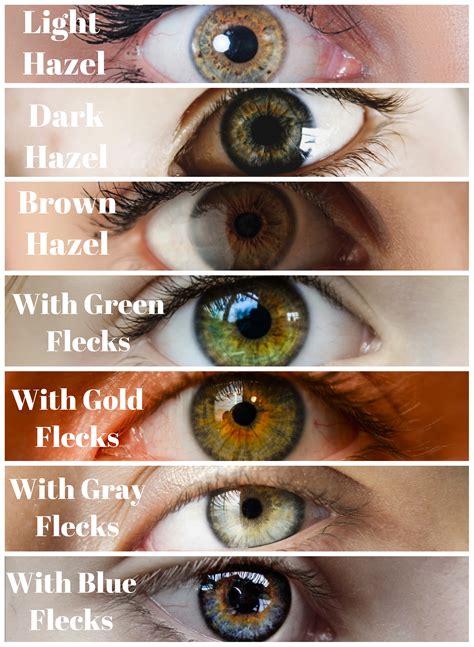 Light Brown Amber Hazel Eyes - canvas-valley