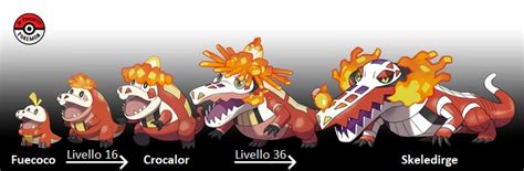 Crocalor | Analisi Pokémon Wiki | Fandom