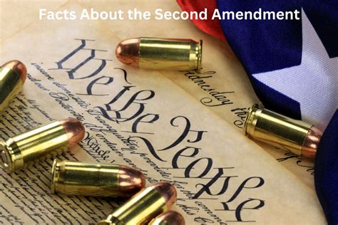 10 Facts About the Second Amendment - Have Fun With History