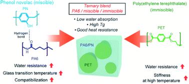 Multifaceted property tailoring of polyamide 6 by blending miscible and immiscible components ...