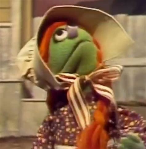 Richard Hunt characters | Muppet Wiki | Fandom | Richard hunt, Muppets, The muppet show