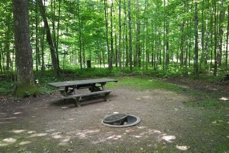 8 Best Camping Spots in Chequamegon-Nicolet National Forest