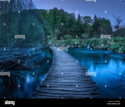 Beautiful wooden path in green forest in Plitvice Lakes, Croatia Stock ...