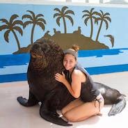 Sea Lion Encounter | Coral World Ocean Park