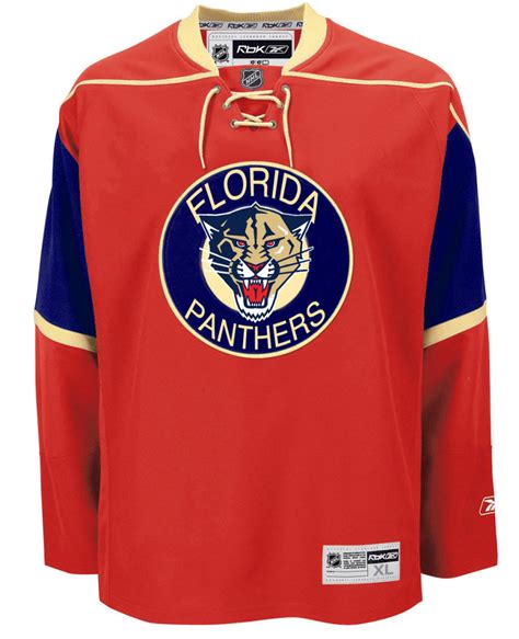 As Panthers fans await new Third Jersey, speculation begins - Litter Box Cats