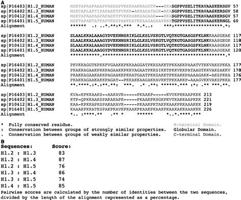 Sequence alignment of histone H1 variants. ( A ) Amino acid sequence... | Download Scientific ...