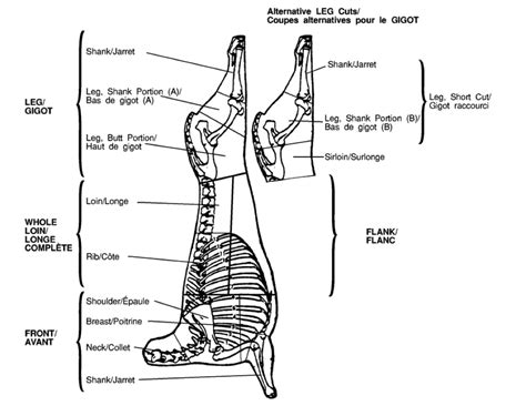 Lamb Meat Cuts Chart