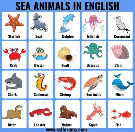 List Of Water Animals Names With Pictures