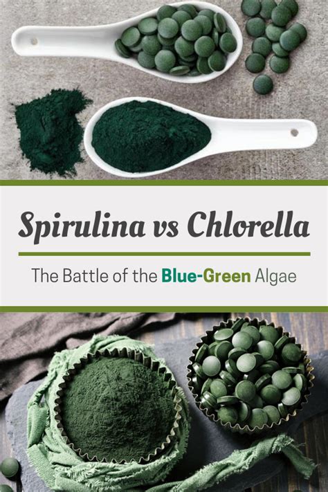 Spirulina vs Chlorella - The Battle of the Blue-Green Algae - Superfoodsliving.com | Spirulina ...