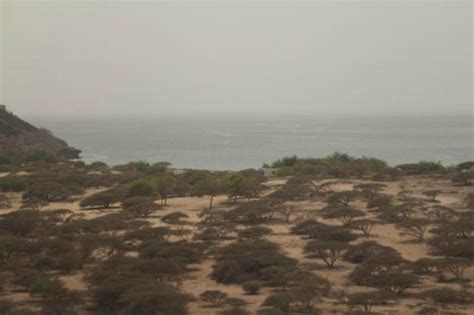 Khor Ambado Beach (Djibouti) - 2021 All You Need to Know BEFORE You Go (with Photos) - Tripadvisor