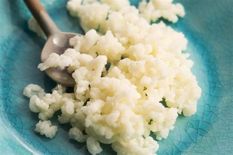 DIY Probiotic Milk Kefir Grains for Gut Health