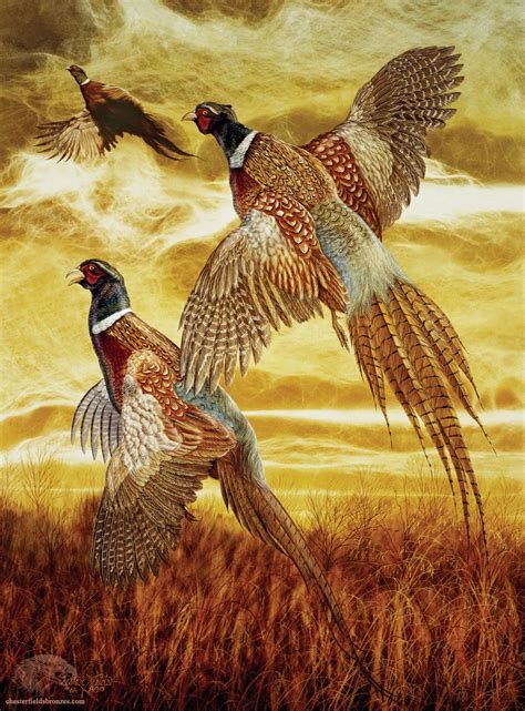 pheasants in flight ~ Flushed by Chester Fields | Amimals of the Wild | Pinterest | Chester ...