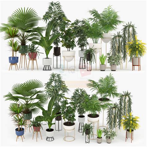 Plants for SketchUp