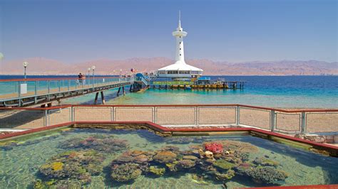 Coral World Underwater Observatory Aquarium, Eilat Vacation Rentals: house rentals & more | Vrbo