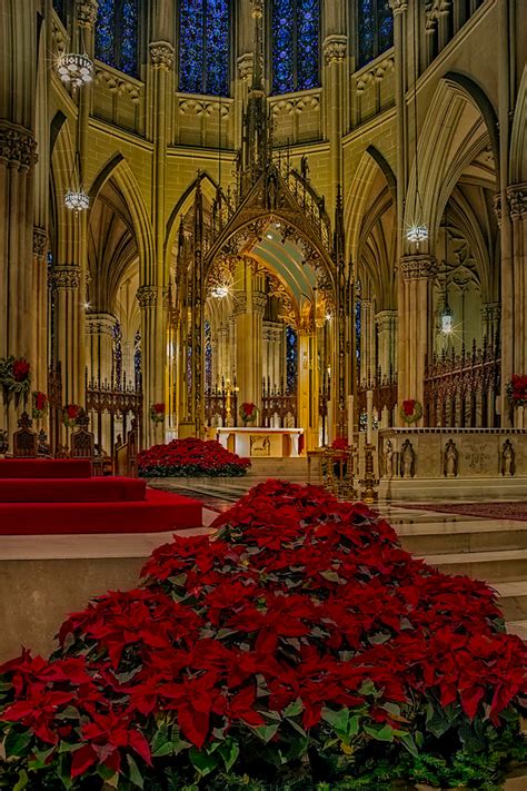 Saint Patrick's Cathedral Photograph - by Susan Candelario. The Altar ...