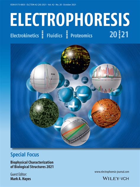 Dielectrophoresis applications in biomedical field and future perspectives in biomedical ...