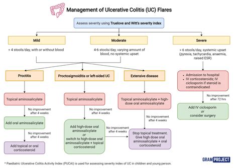 Management of Ulcerative Colitis (UC) Flares - Gram Project