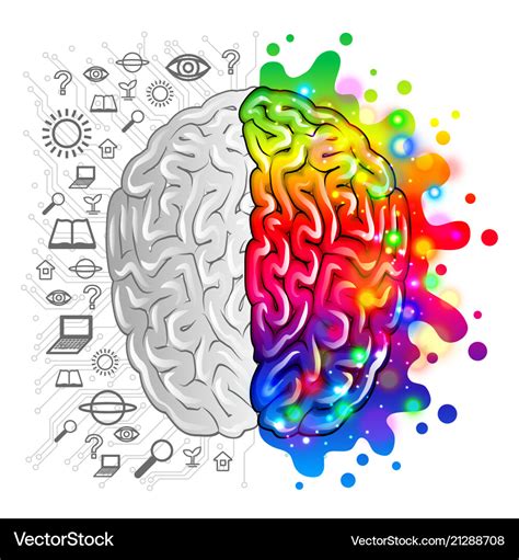 Human brain concept logic and creative Royalty Free Vector