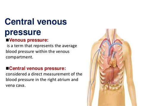 Central Venous Pressure; Venous Pressure, Central