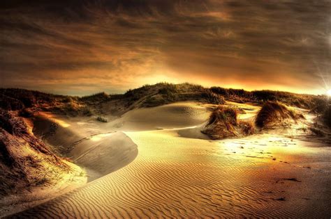 beach, by the sea, denmark, dune grass, dunes, north sea, sand, sandy ...