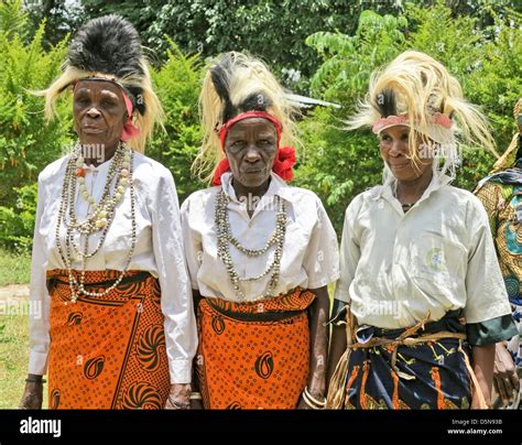 Three Native Kilimanjaro Chagga Women performing native dance for tourist near Moshi;Tanzania ...