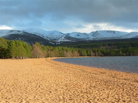 Glenmore beach at Loch Morlich in the Scottish Highlands. | Best beaches in europe, Uk beaches ...