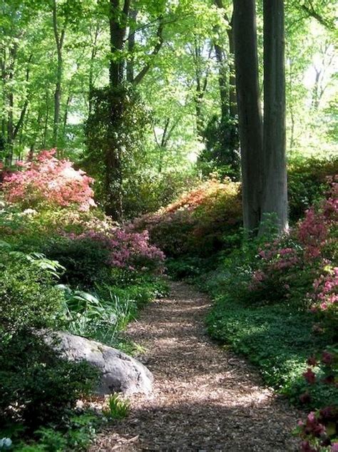 Elonahome.com | Home Design and Inspiration | Woodland garden, Shade garden, Beautiful gardens