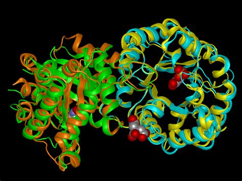 Protein Structural Alignment Workflow | DNASTAR