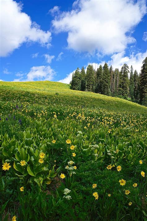 Crested Butte Hiking: 5 Bucket List Trails