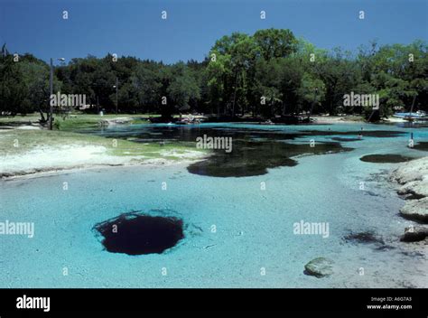 United states florida silver glen springs hi-res stock photography and ...