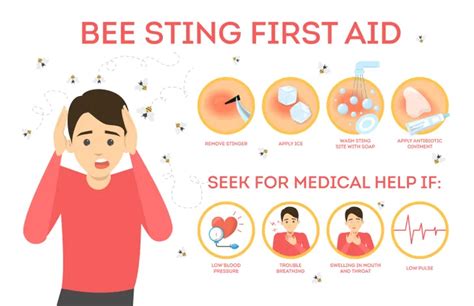 Bee Stings: Symptoms, Risks, Treatment, and Prevention – ActiveBeat – Your Daily Dose of Health ...