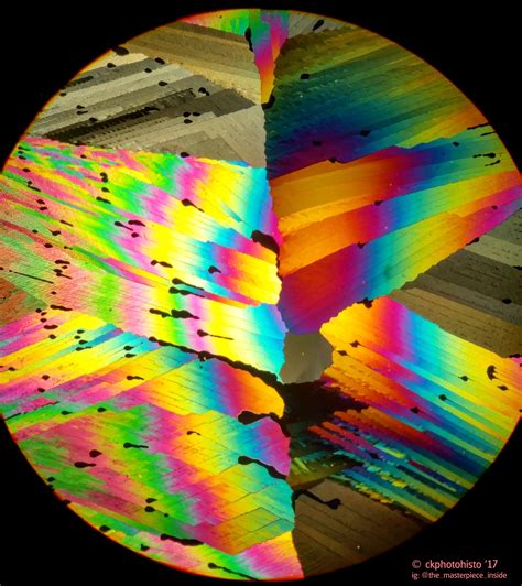 Caffeine Crystals (25x) [2988x3356] viewed under polarized light [OC] : r/MicroPorn