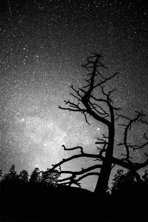 Astrophotography Night Black and White Portrait View Photograph by James BO Insogna - Fine Art ...