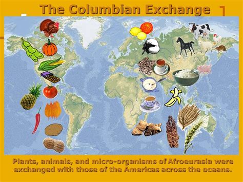 Columbian exchange animals new world | Message