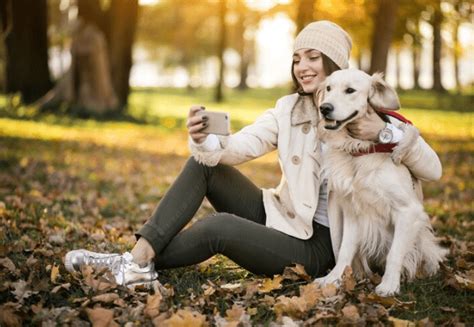 Top 7 On-Demand Dog Walking Apps: Which One Leads the Pack?