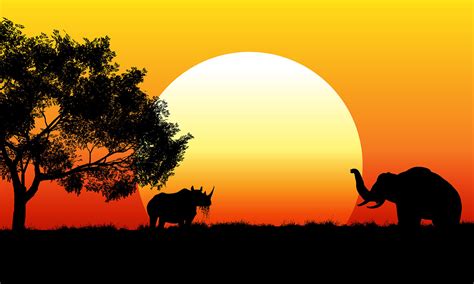 Safari Animals Free Vector Art - (5974 Free Downloads)