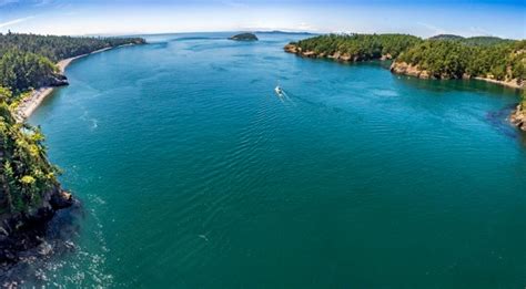 Fins, Forests and Ferries: A Visit to the Salish Sea