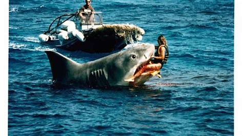 Australia’s Great White Crisis: New documentary by Discovery Channel investigates why Western ...